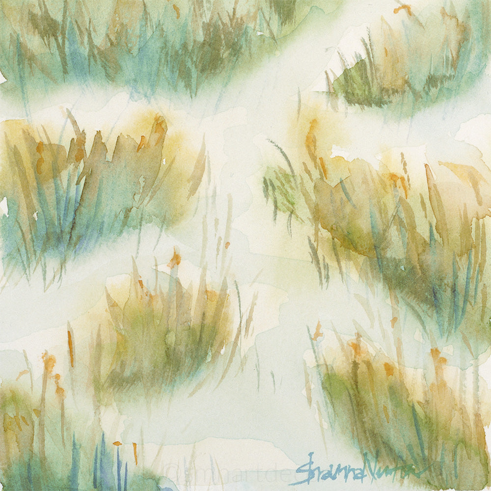 Somewhere in the Marsh